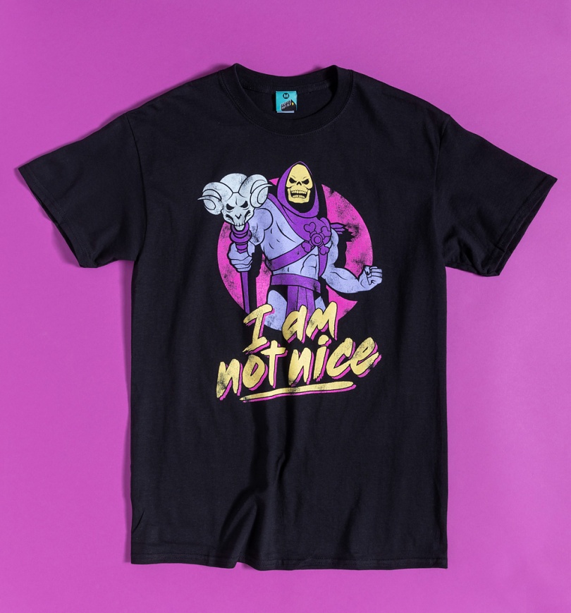 An image of Mens Skeletor I Am Not Nice T-Shirt