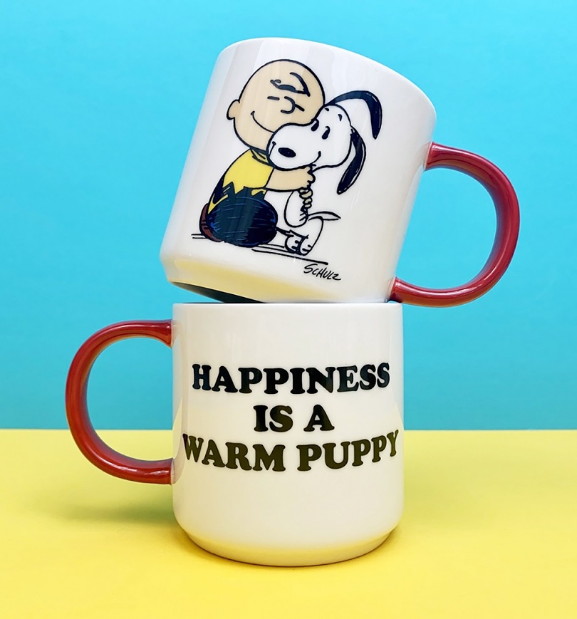 An image of Peanuts Snoopy and Charlie Brown Happiness Is A Warm Puppy Hug Mug