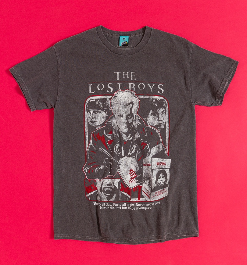 An image of The Lost Boys Sleep All Day Vintage Wash Charcoal T-Shirt